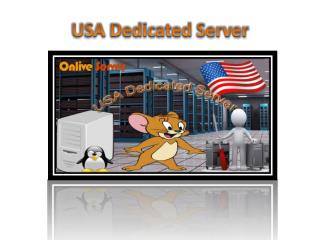 USA Dedicated Server – Onlive Server Technology LLP