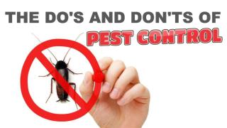 The Do's and Don'ts of Pest Control