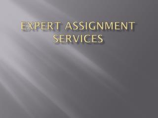 EXPERT ASSIGNMENT SERVICES