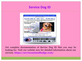 Emotional Support Dog Registration