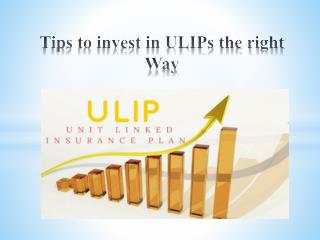 Tips to invest in ULIPs the right way