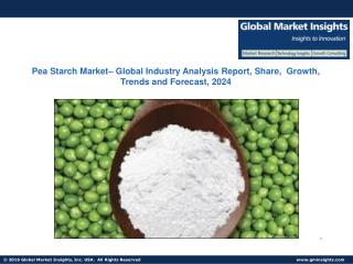 Pea Starch – Global Industry Analysis Report, Share, Growth, Trends and Forecast, 2024