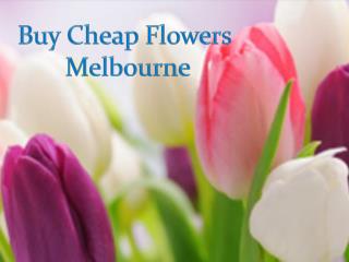 Buy Cheap Flowers Melbourne