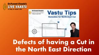 Defects of having a cut in the North​ ​East​ ​Direction.​