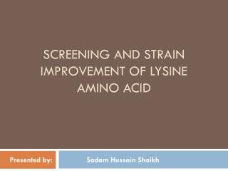 screening and strain improvement of lysine