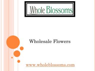 Wholesale Flowers - Whole Blossoms