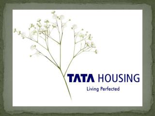 Tata Lavida Sector 113 Gurgaon