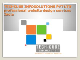 Techcube Infosolutions Pvt Ltd Offshore Software development Company India