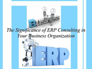 The Significance of ERP Consulting in Your Business Organization