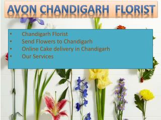 Chandigarh Florist