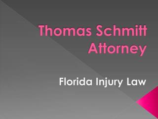 To Know More About Thomas Schmitt Attorney