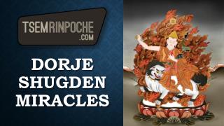 ﻿﻿Dorje Shugden Miracles