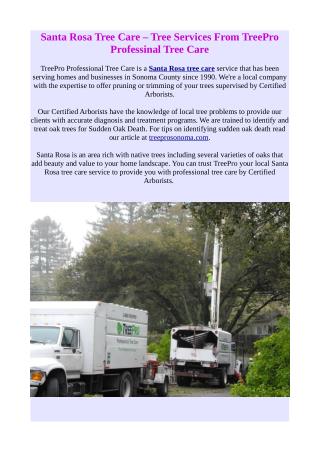 santa rosa tree care