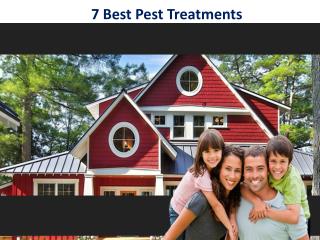 7 Best Pest Treatments in Rajasthan