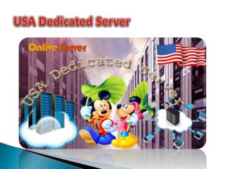 USA Dedicated Server – Onlive Server Technology LLP