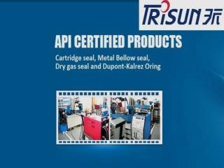 APV Pump Seal - Trisun Mechanical Parts