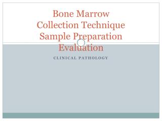 Bone Marrow Collection Technique Sample Preparation Evaluation