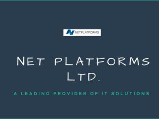 IT Companies in London - Net Platforms