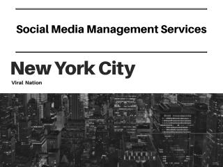 Social Media Management Services