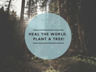 Heal the world