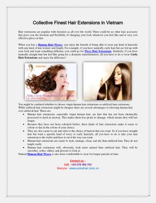 Collective Finest Hair Extensions in Vietnam