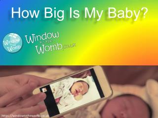 How Big Is My Baby?