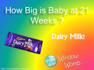 How Big is Baby at 21 Weeks ?