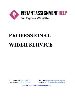 Sample Assignment on Professional Wider Services - Instant Assignment Help
