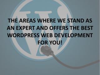 BEST WORDPRESS WEB DEVELOPMENT