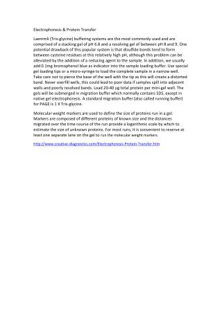western blot dry transfer