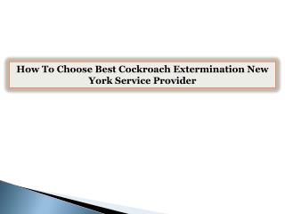 How To Choose Best Cockroach Extermination New York Service Provider