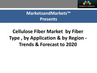 Impact of Cellulose Fiber Market Opportunities (2015–2020)