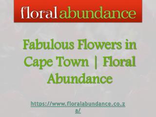 Fabulous Flowers in Cape Town | Floral Abundance