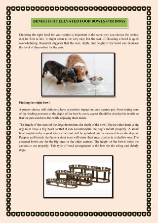 BENEFITS OF ELEVATED FOOD BOWLS FOR DOGS