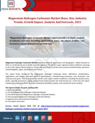 Global Magnesium Hydrogen Carbonate Market Research Report 2017