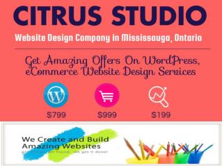 Get Offer On WordPress Website in Mississauga | $799 Only