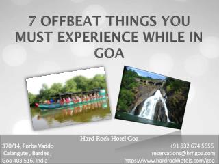 7 Offbeat Things You Must Experience While in Goa