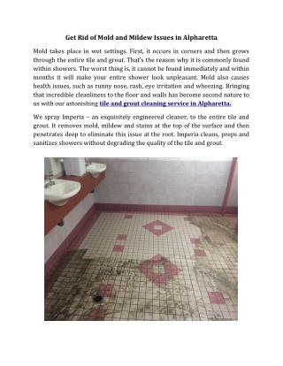 Mold and Mildew Removal from Shower in Alpharetta