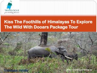 Kiss The Foothills of Himalayas To Explore The Wild With Dooars Package Tour
