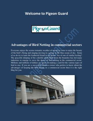 Pigeon Netting, Pigeons Control.pdf