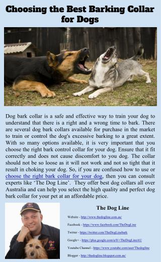 best bark collar for hounds