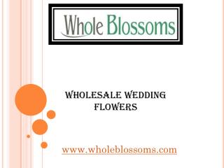 Wholesale Wedding Flowers - www.wholeblossoms.com