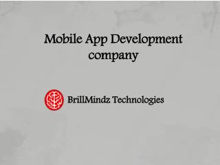 Application development company