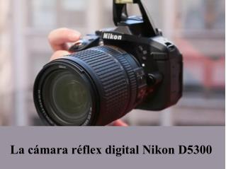 La cámara réflex digital Nikon D5300