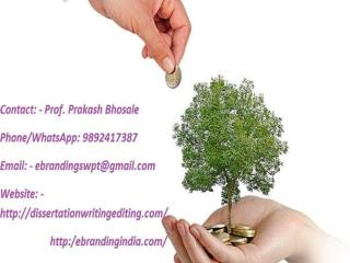 eBranding India is the Best Seed funding consultation services in Bhopal