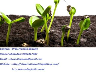 Top Class Seed Funding Consultation Services at Bhopal from eBranding India