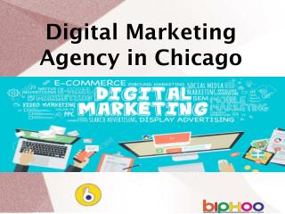 Digital Marketing Agency in Chicago