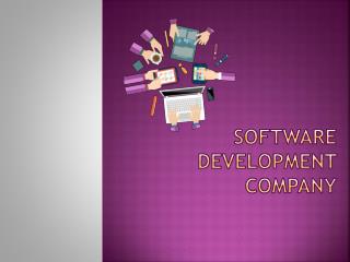 Scope of Software Development Company in the Information Technology industry