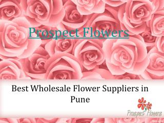 Best wholesale flower supplier in pune