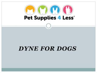 Dyne for Dogs